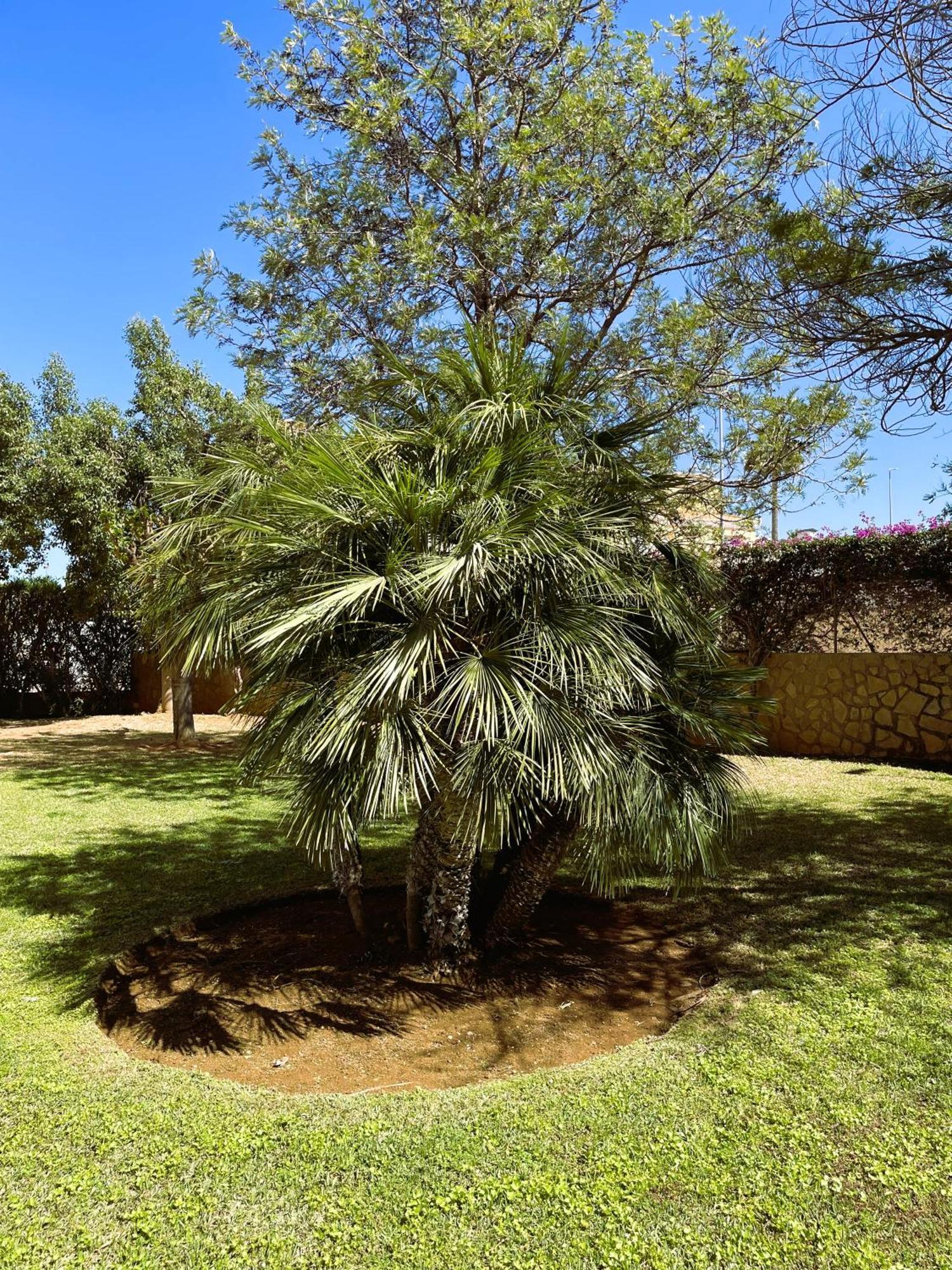 Ferienwohnung El Casa Kama Dénia Exterior foto